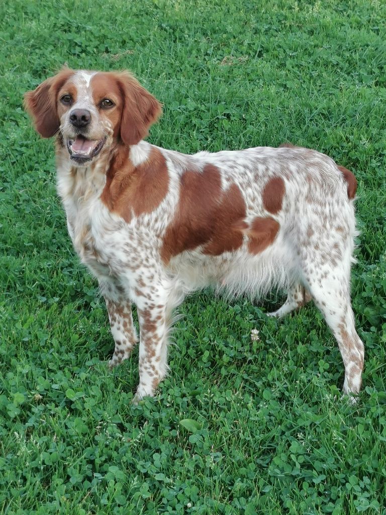 Odette Des Courtons De La Fortelle
